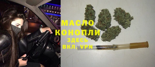 индика Лихославль