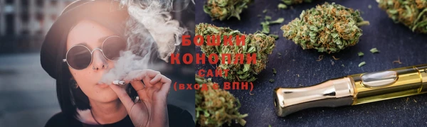 индика Лихославль