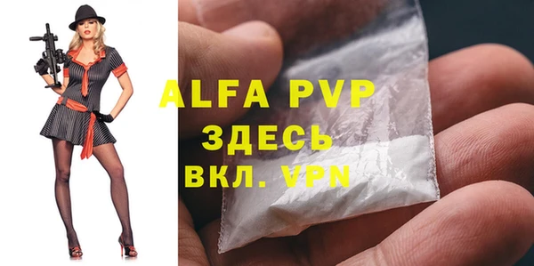 индика Лихославль