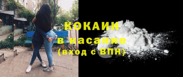 индика Лихославль