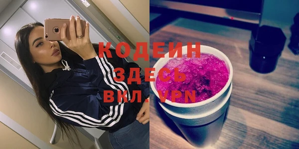 индика Лихославль