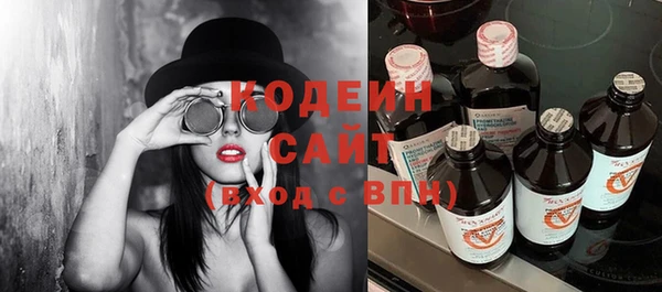 индика Лихославль