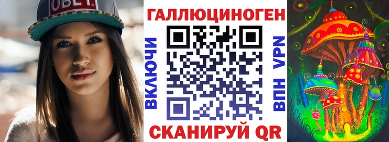 Псилоцибиновые грибы GOLDEN TEACHER  ссылка на мегу как войти  Зверево 